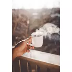 Автоматическая кофемашина AULIKA EVO TOP HSC - Saeco - Кофемашины - Индустрия Общепита